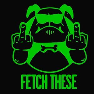 Green Fetch These Premium permanent vinyl decal 5.5Wx6H
